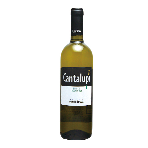ContiZecca Cantalupi Bianco Salento 在庫のみ次回入荷4月上旬