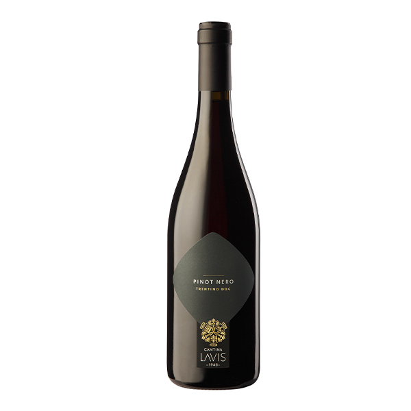 Lavis Classic Pinot Nero 20/21　ｸﾗｼｯｸ･ﾋﾟﾉ･ﾈﾛ