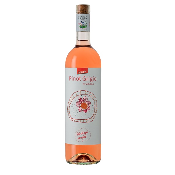 Babalu Pinot Grigio Terre di Chieti 22【新商品】ﾊﾞﾊﾞﾙﾋﾟﾉｸﾞﾘｰｼﾞｮ